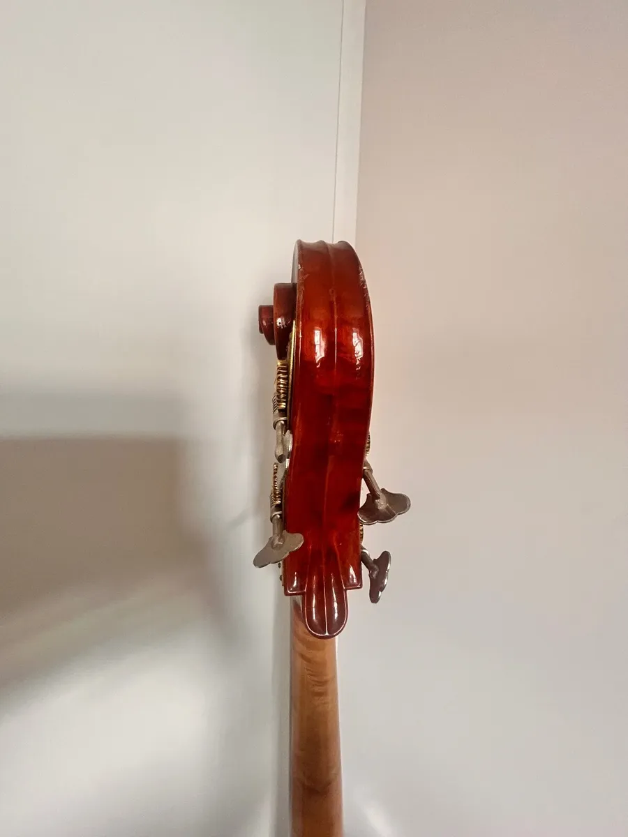 Stentor conservatoire full size double bass - Image 2