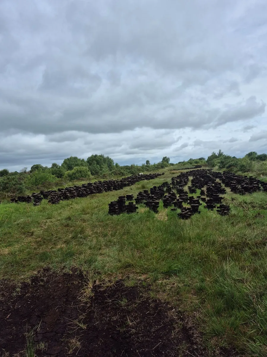 Footing turf