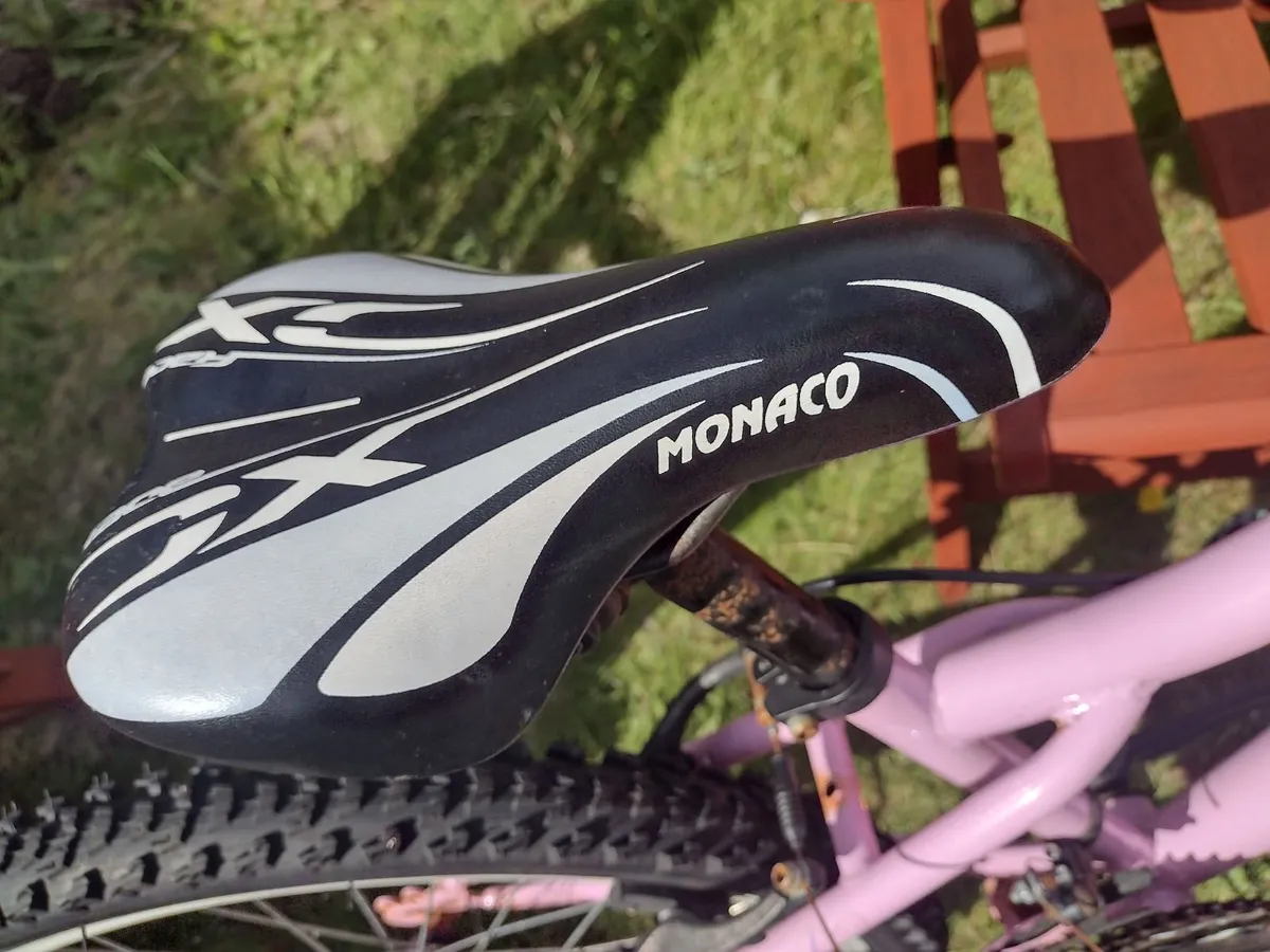 Heavy mountain bike with front suspension - Image 4