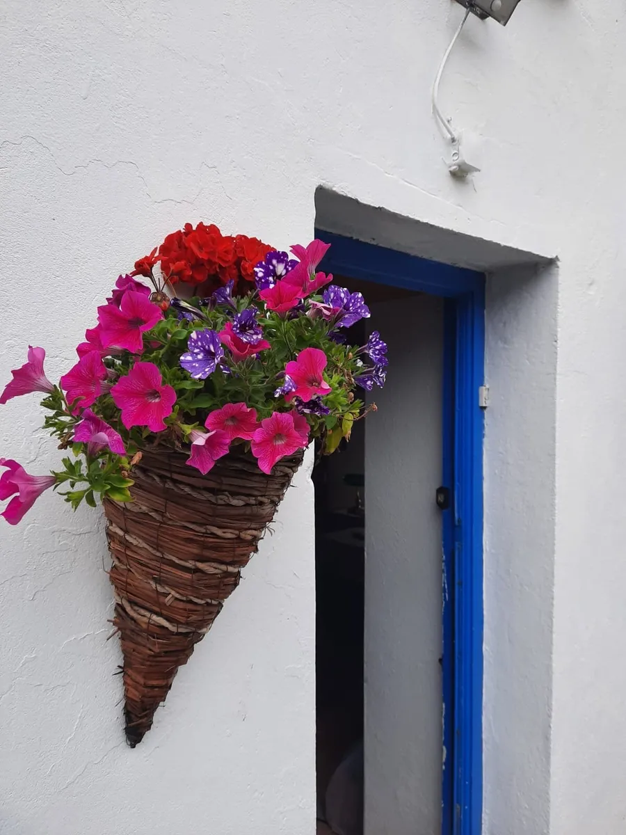 Holiday Accommodation - Image 1