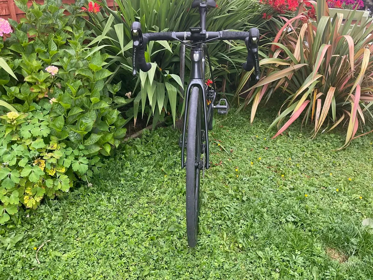 Trek Emonda - Image 3