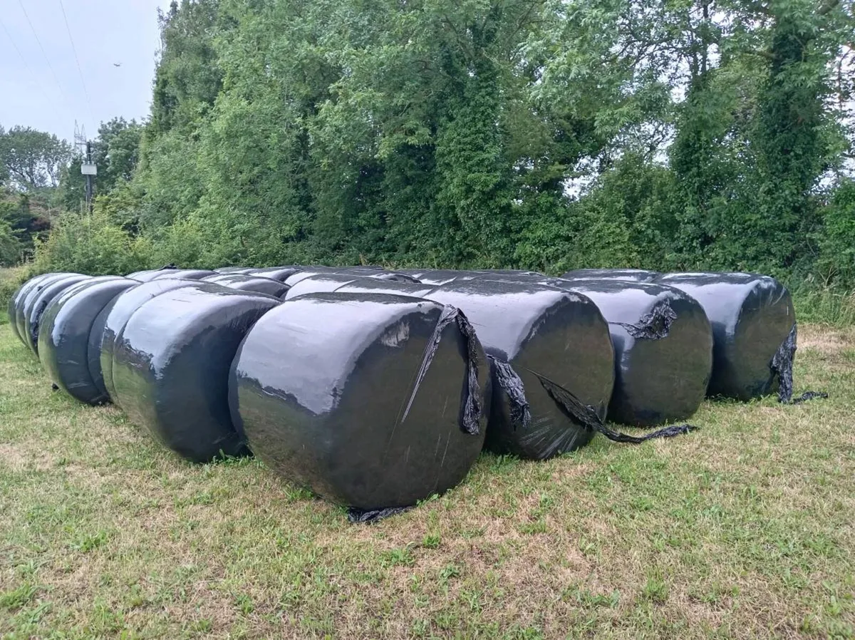 Silage