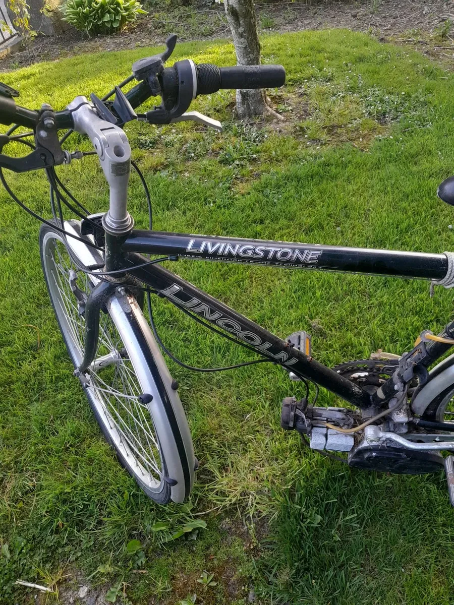 2 stroke hybird bike - Image 2
