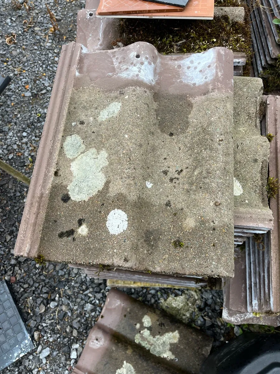 Roof Tiles (Quinn Locherne) - Image 4