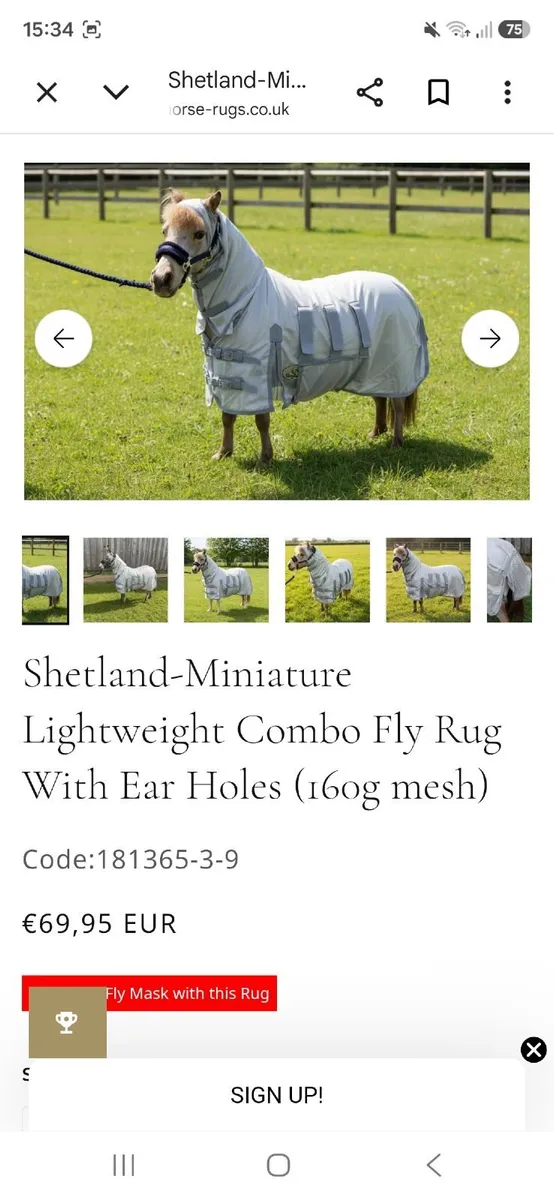 Pony rug - Image 1