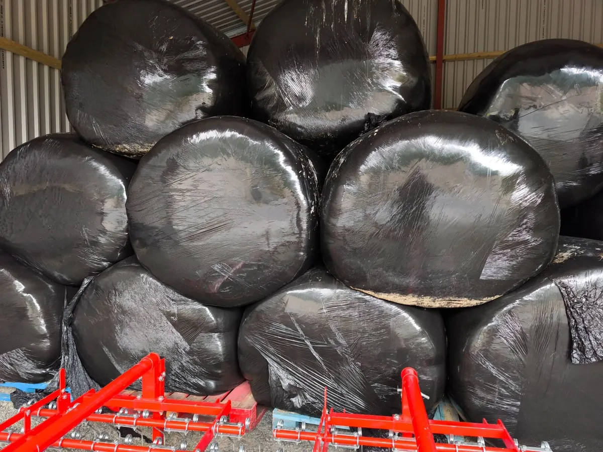 Haylage - Suitable for Horses & Alpacas - Image 1