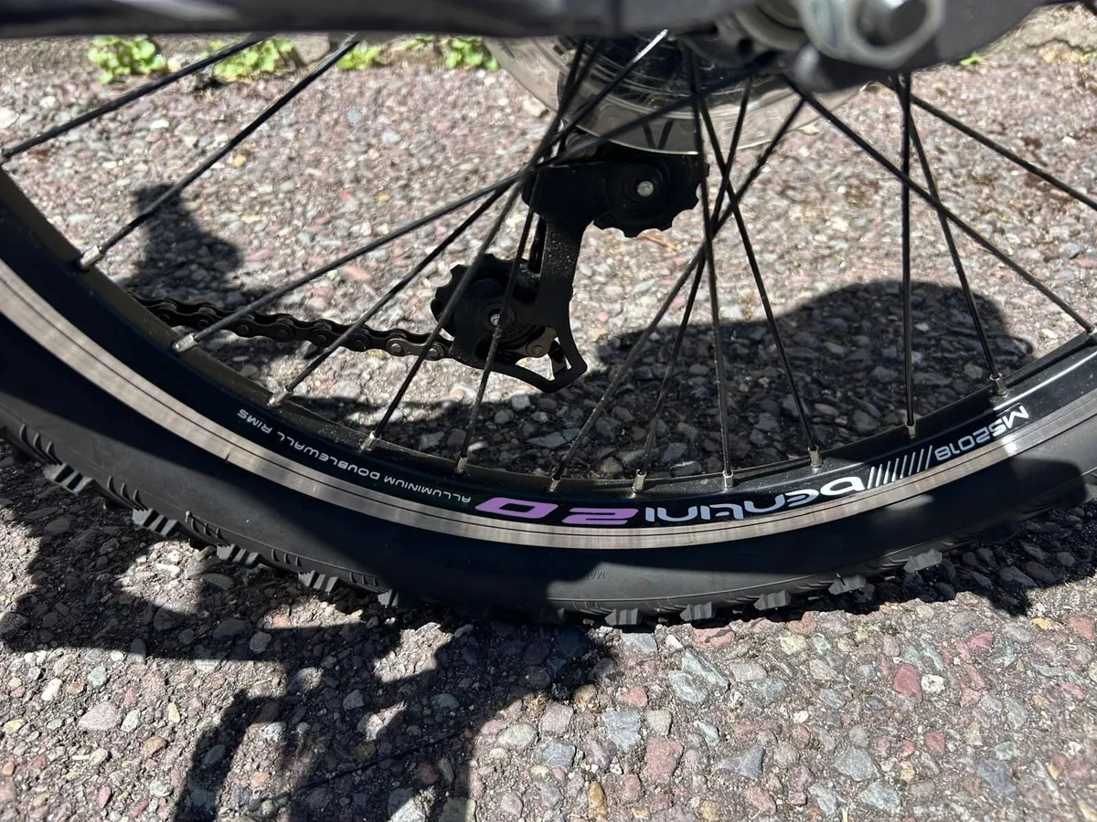 Bentini Melody Bike 20 inch €250 or best offer - Image 2