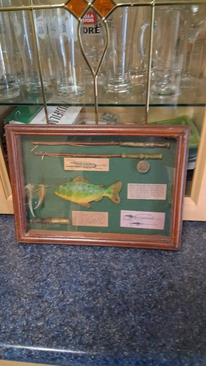 Fishing display box