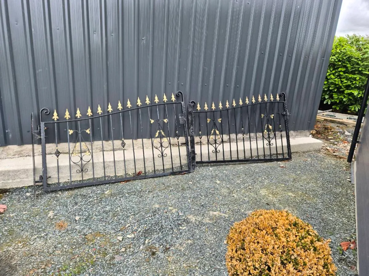 Wrought iron gates