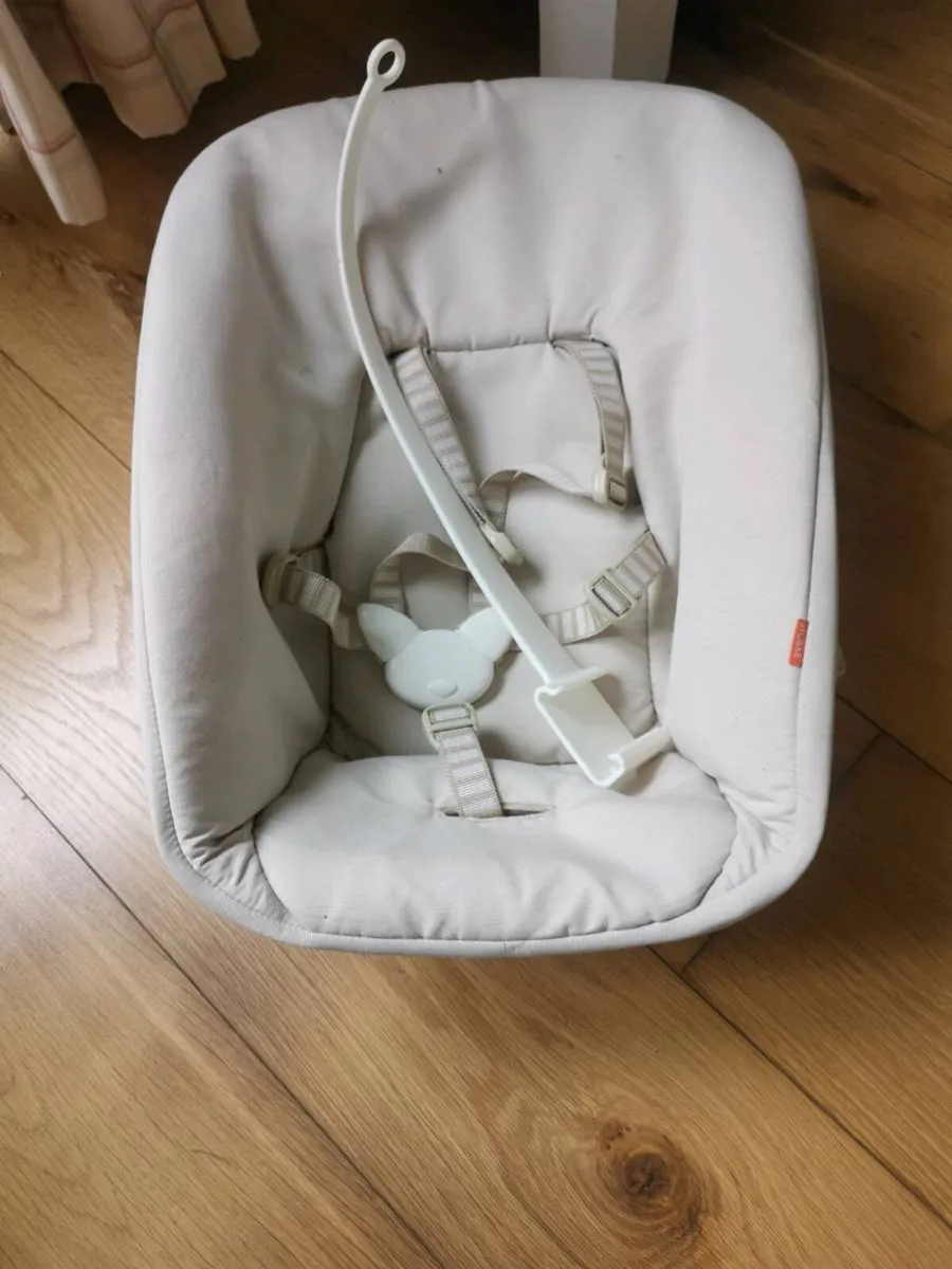 Stokke baby seat