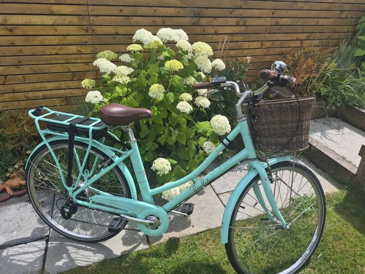 Electric Bike - Image 1