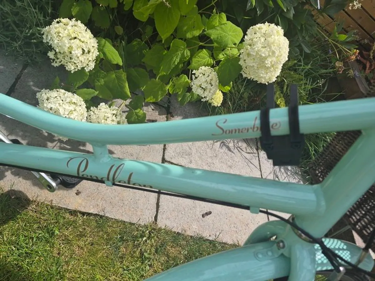 Electric Bike - Image 2