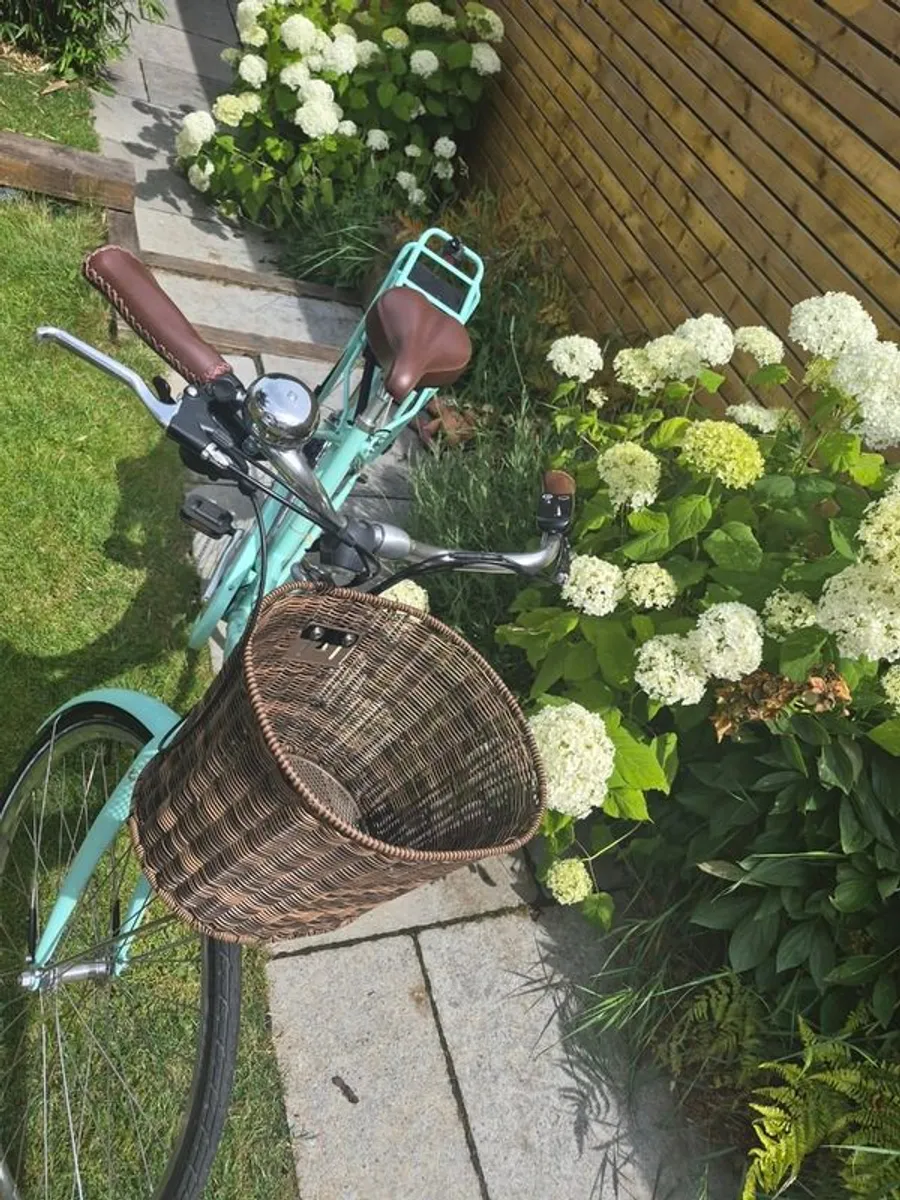 Electric Bike - Image 4