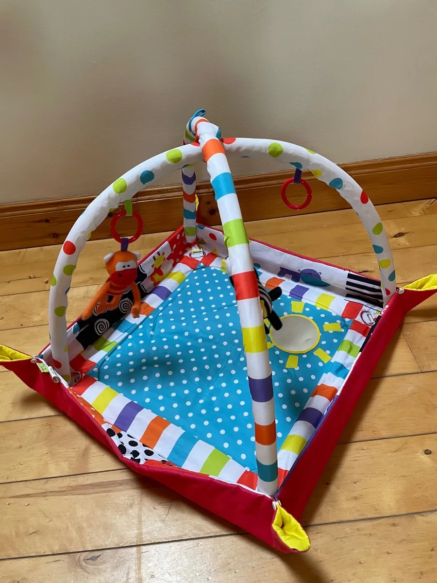 Baby zoo play gym - Image 1