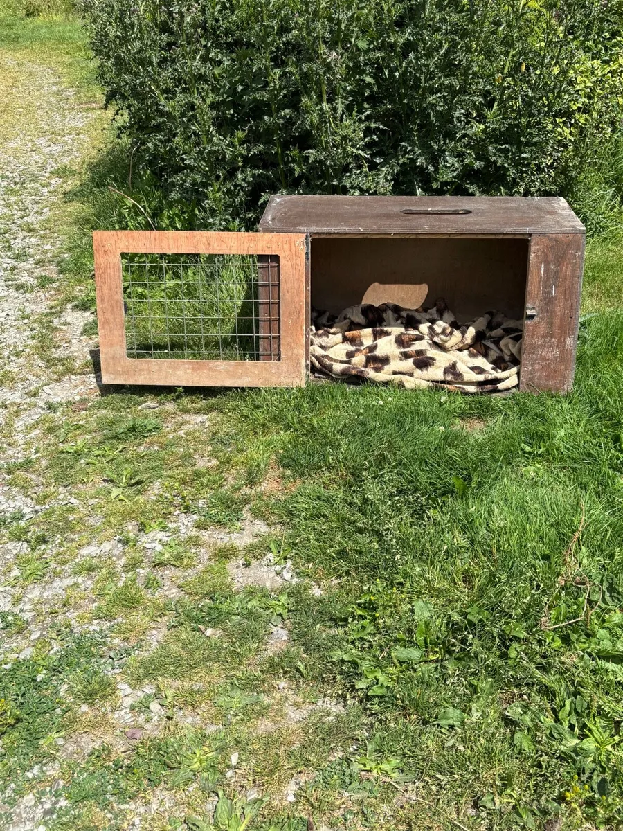 Timber dog crate - Image 2