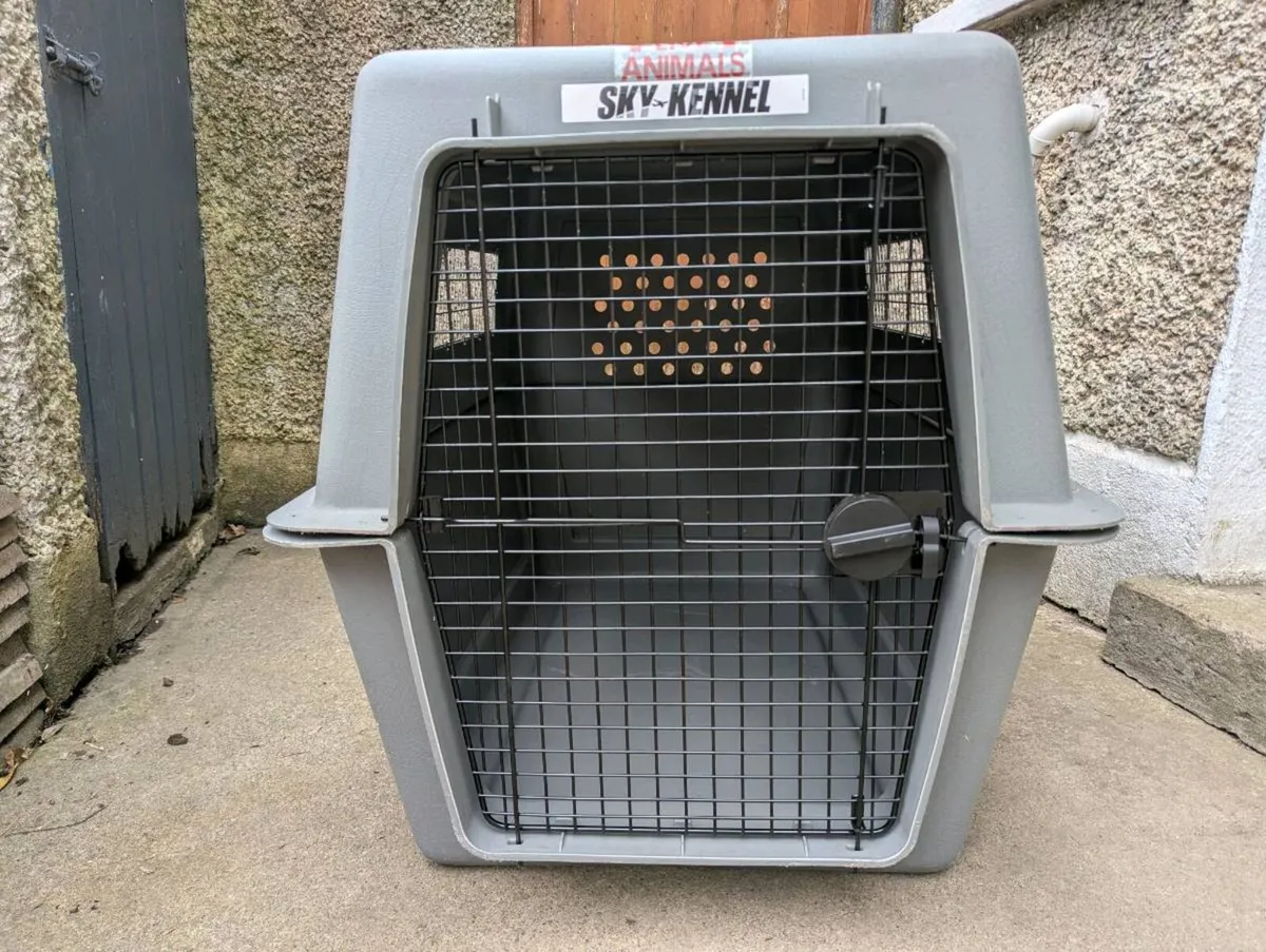 Dog Travel Crate - Image 1