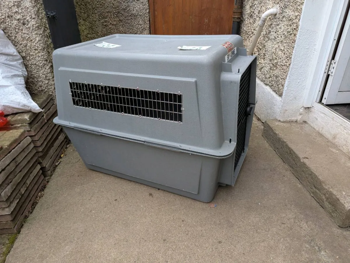 Dog Travel Crate - Image 2
