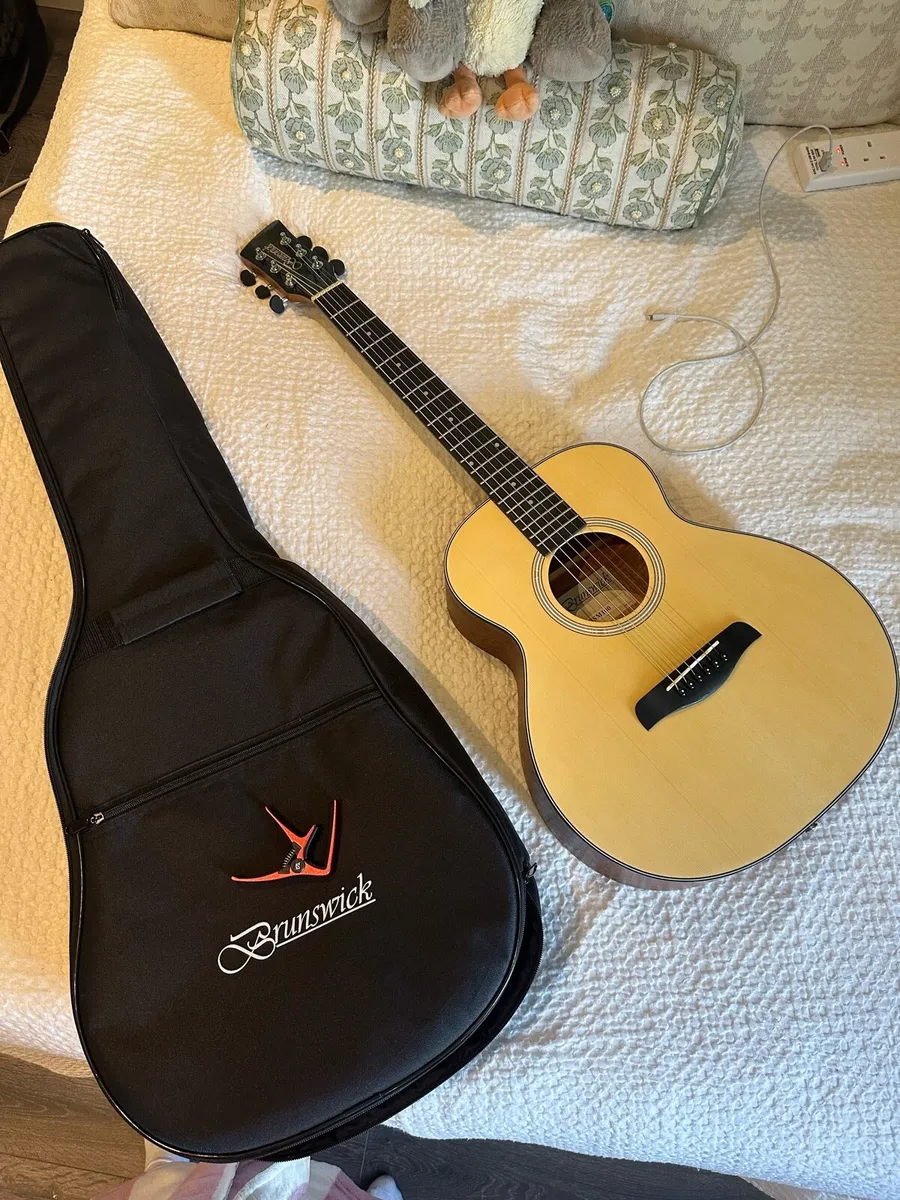 Guitar with case & capo - Image 1