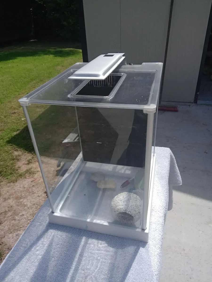 Aquarium - Image 2