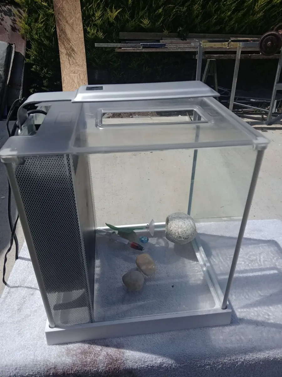 Aquarium - Image 3