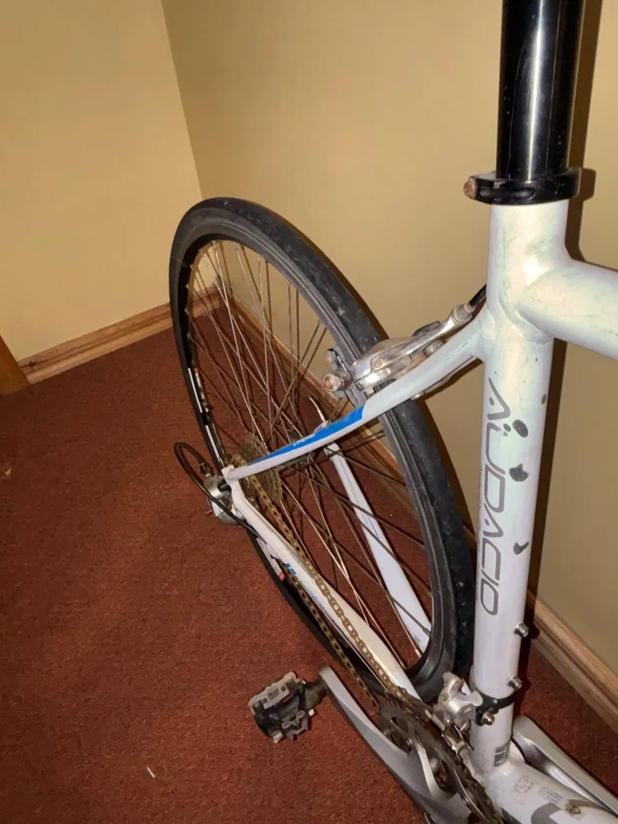 Bicycle - Image 2