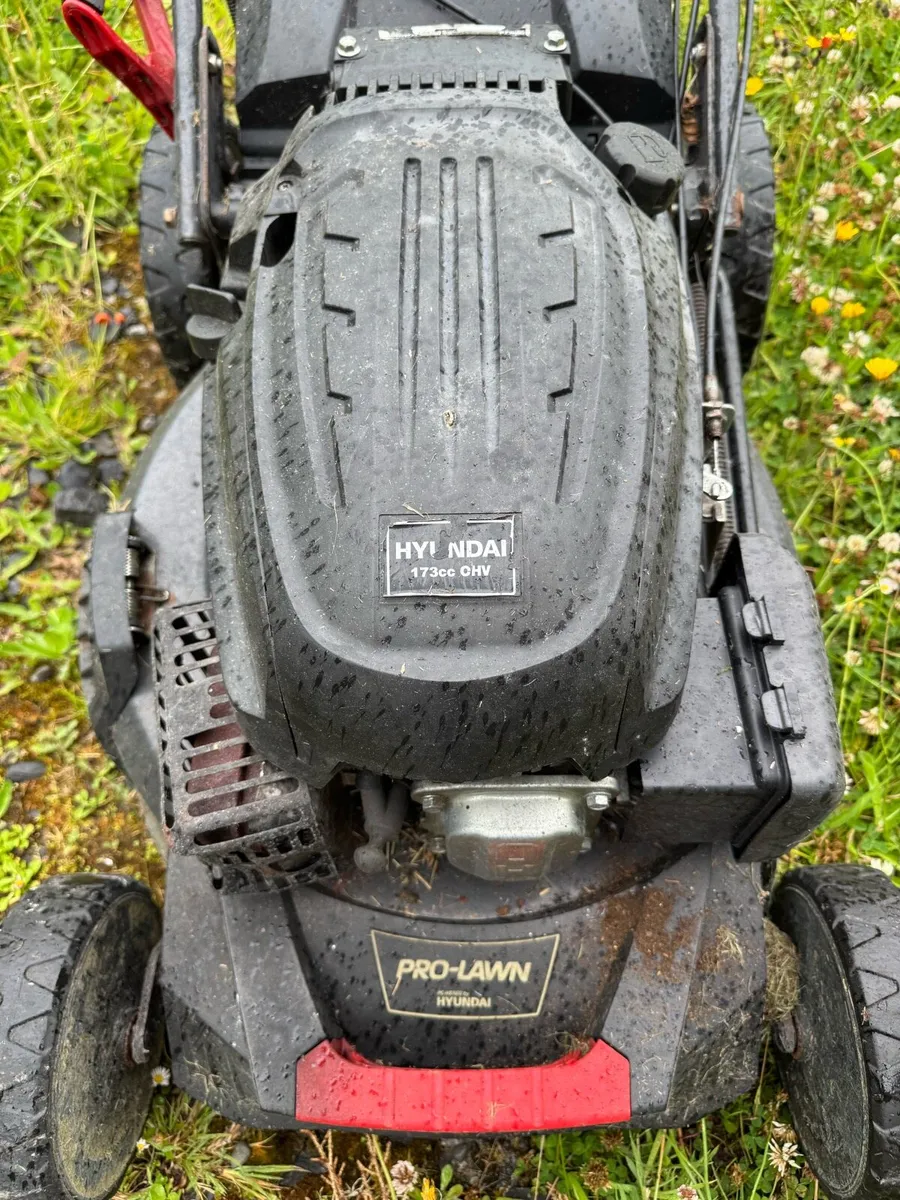 Lawnmower petrol - Image 2