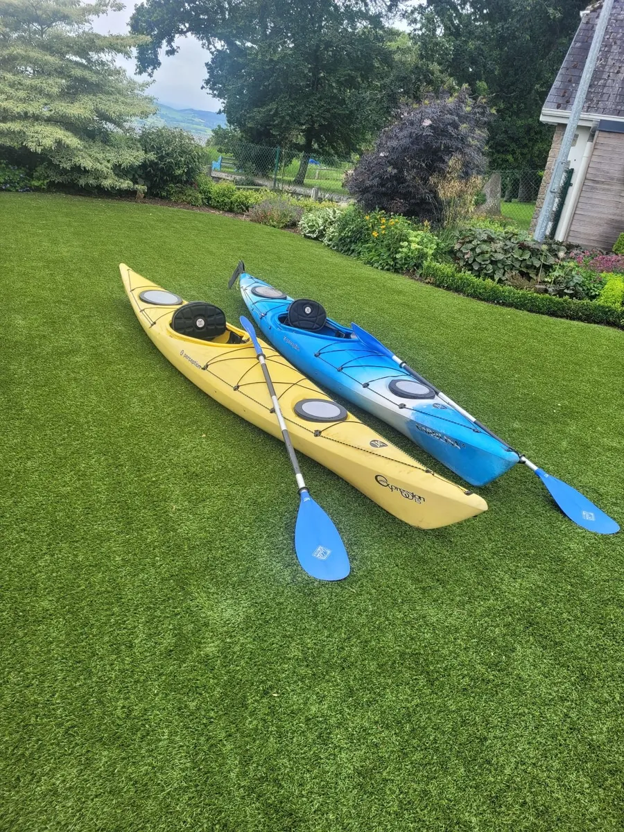 Sea kayaks - Image 2