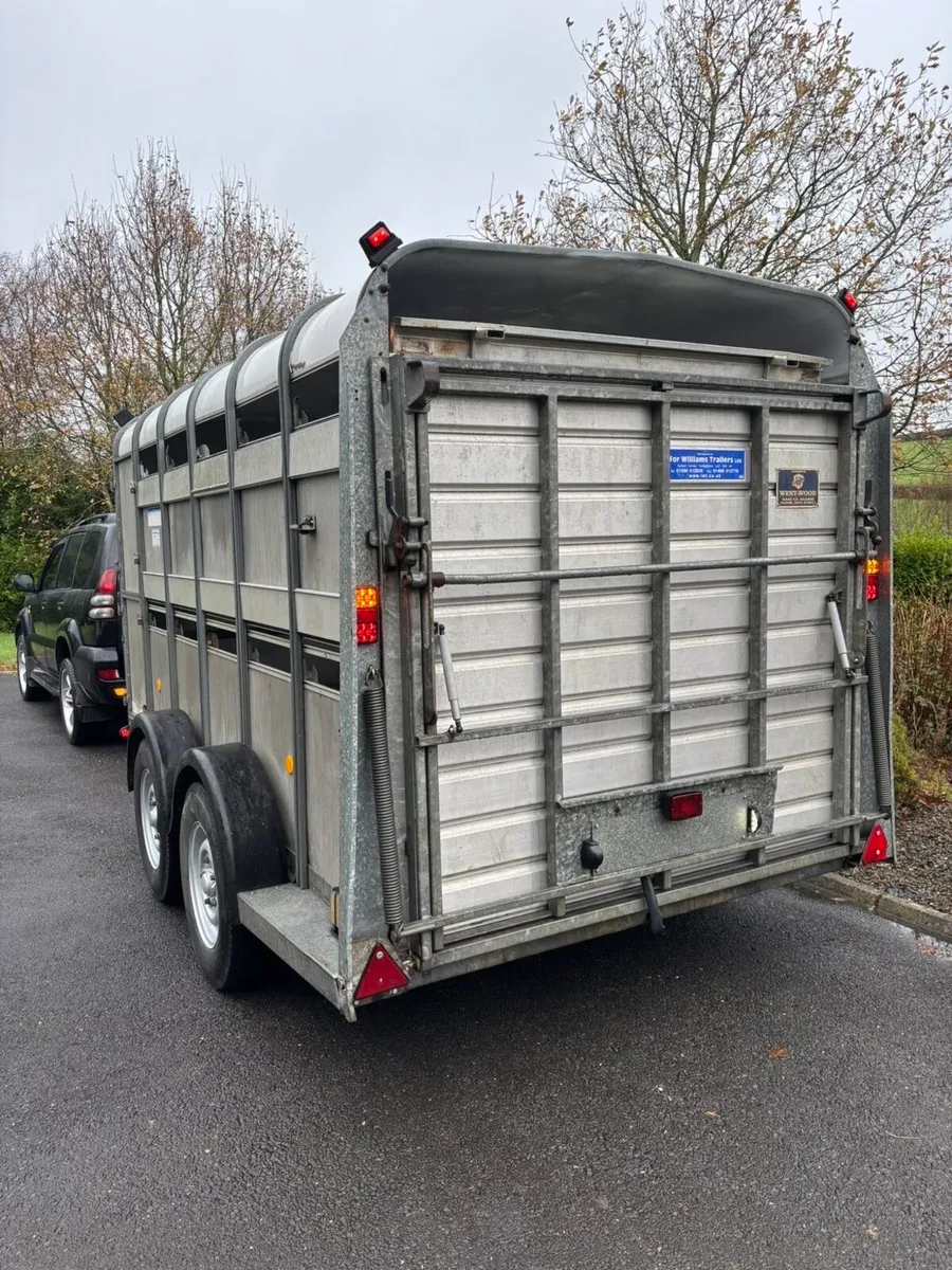 12ft ifor Williams cattle/sheep trailer - Image 1