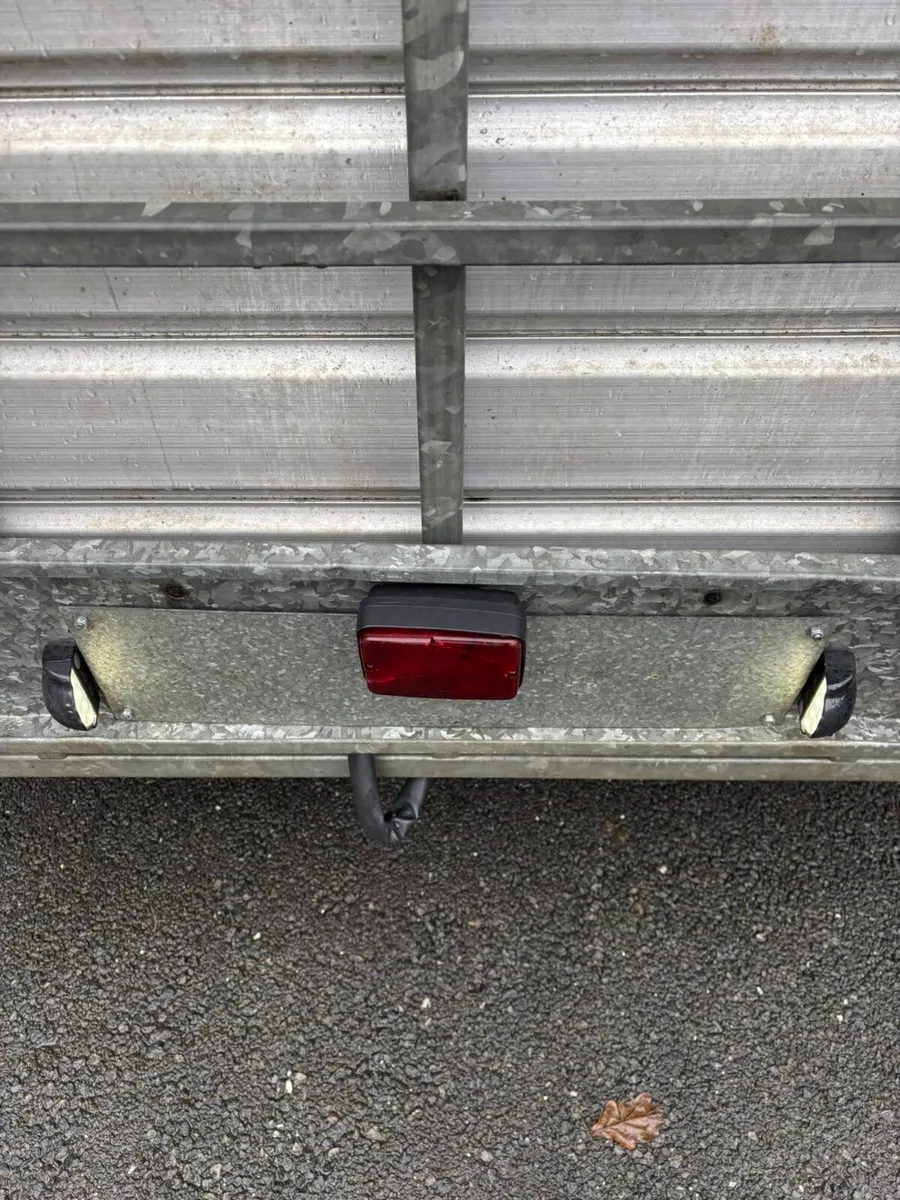 12ft ifor Williams cattle/sheep trailer - Image 3