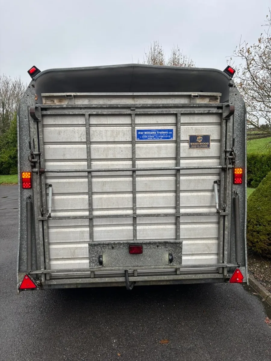 12ft ifor Williams cattle/sheep trailer - Image 2