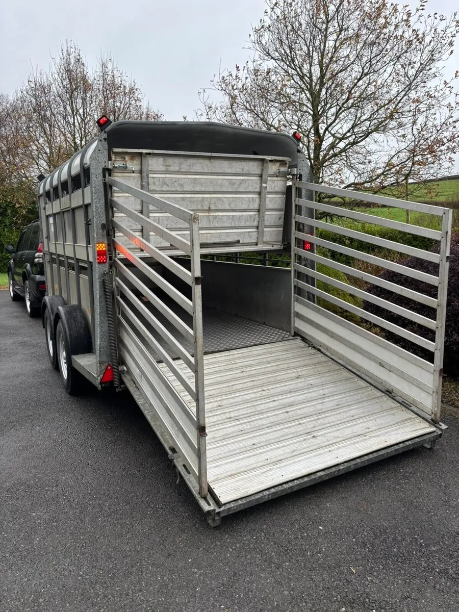 12ft ifor Williams cattle/sheep trailer - Image 4