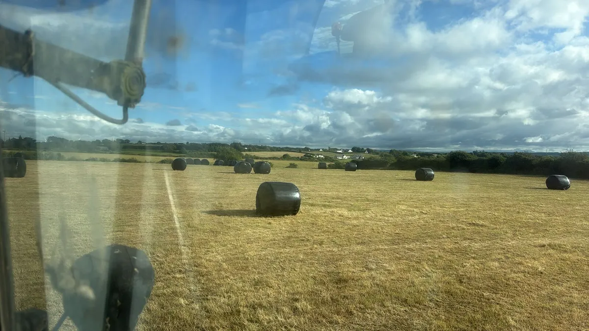 Haylage - Image 1