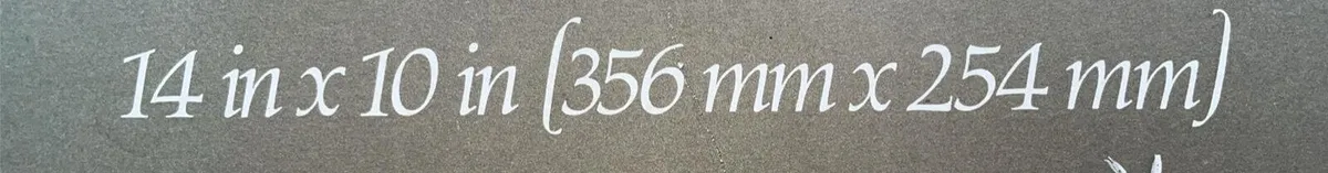Plaque - Image 3