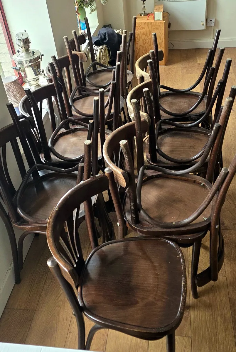 Fameg Bentwood Chairs Lot of 15 second hand - Image 2