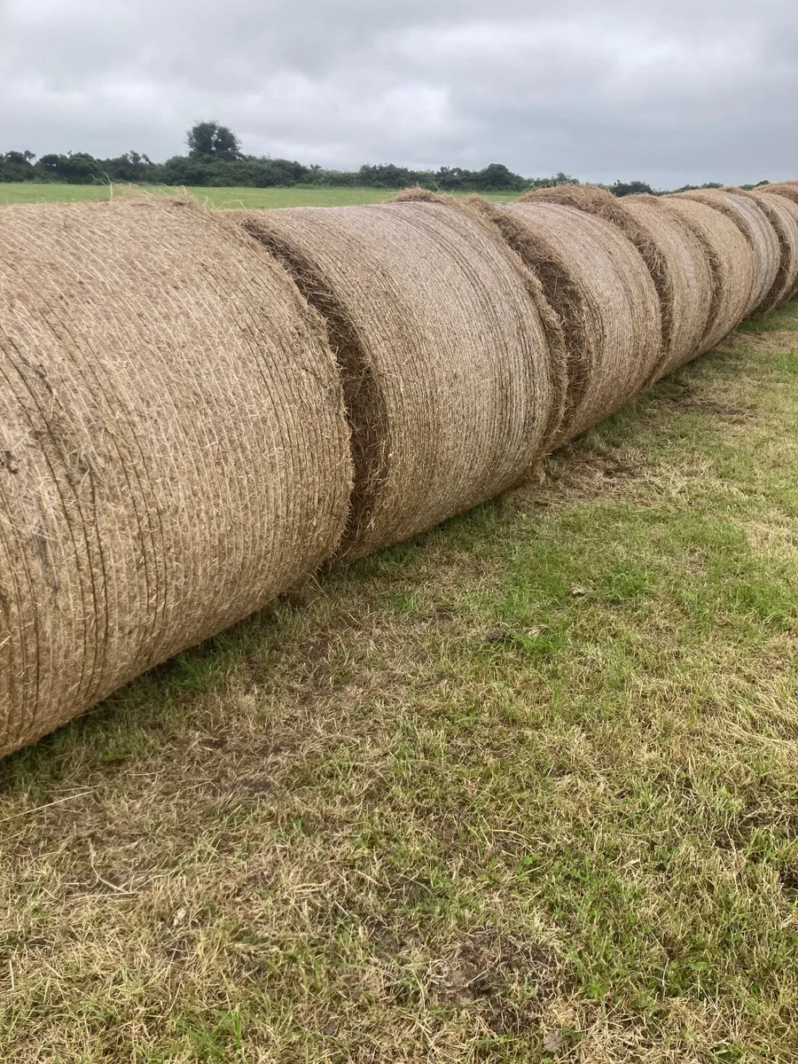 Hay bales - Image 3
