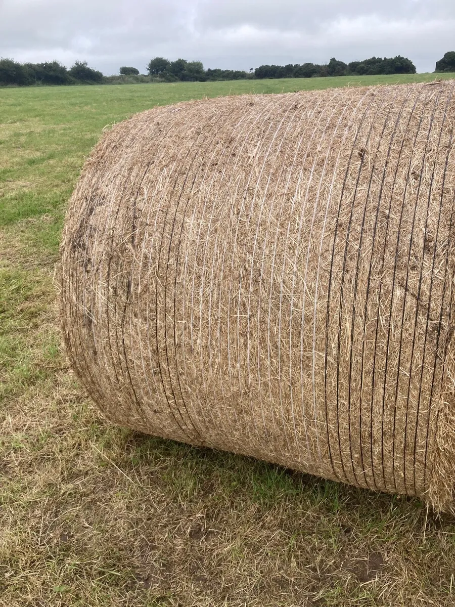 Hay bales - Image 2