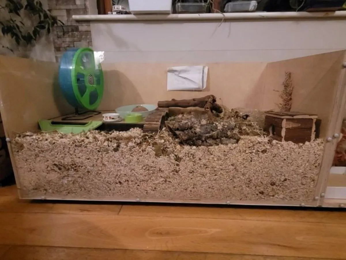 Pet Cage - Image 1