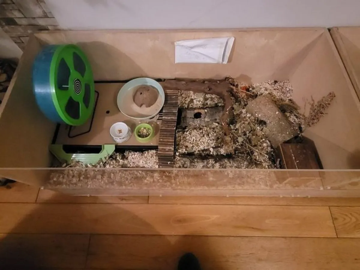 Pet Cage - Image 3