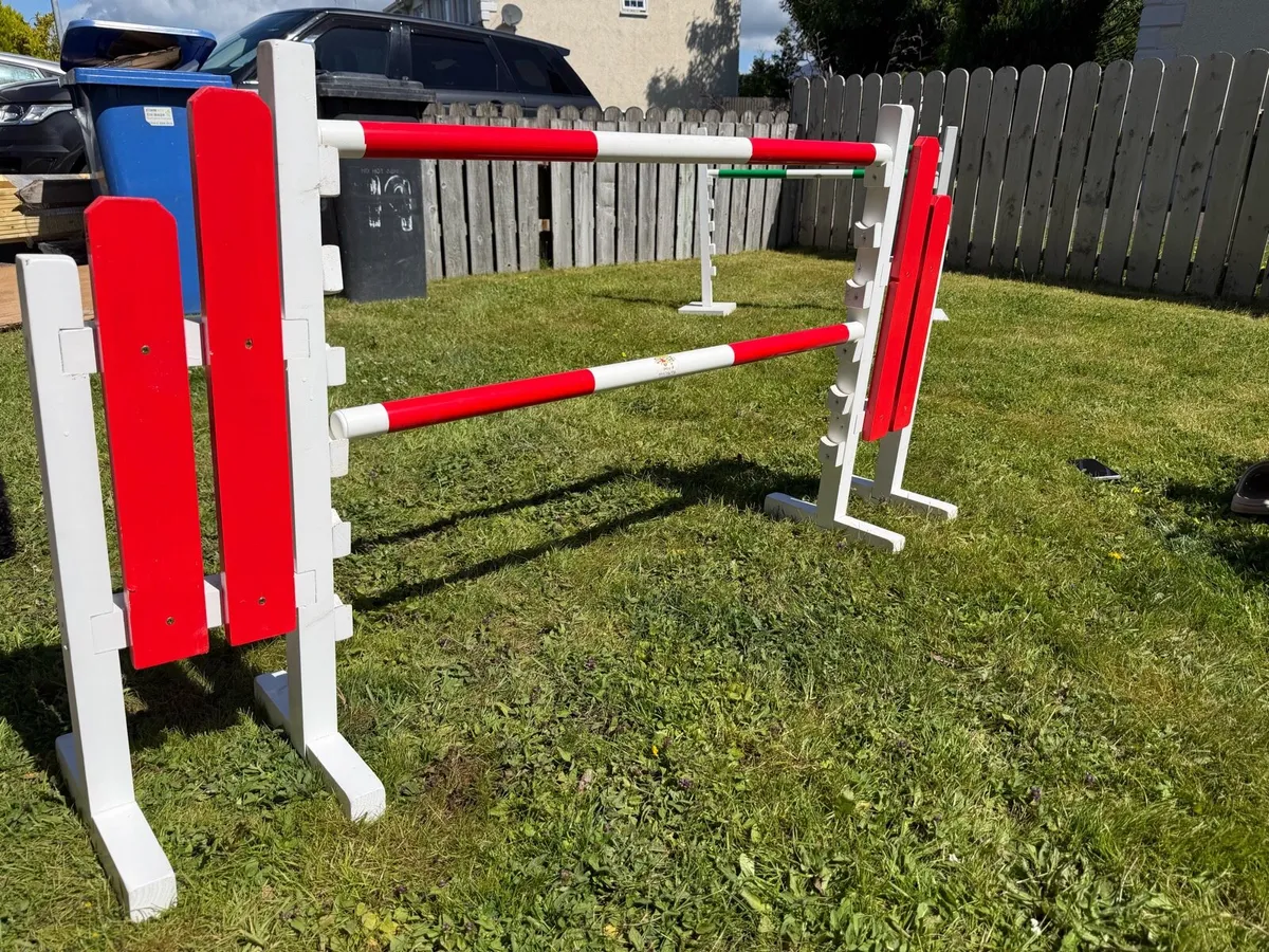 Kids hoppy horse jumps - Image 1