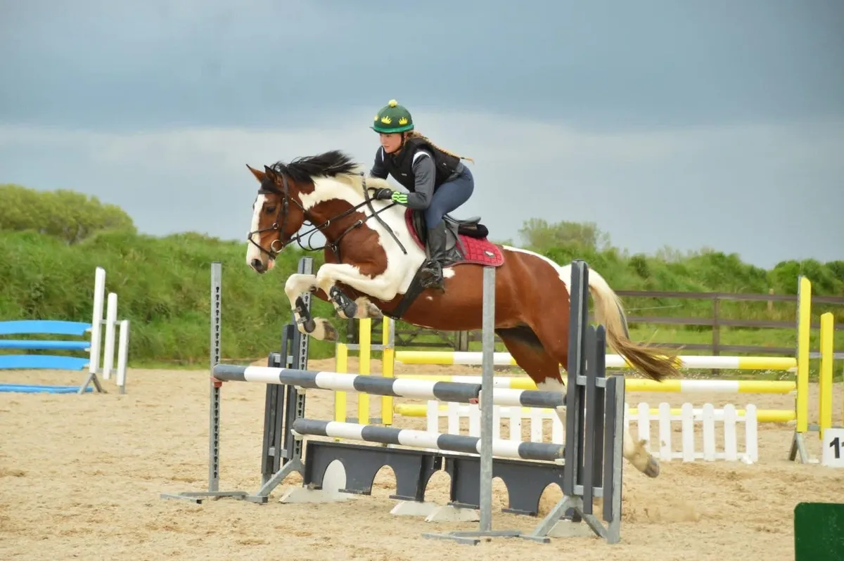 🌟 Lot 168 | Goresbridge – Tues 7th July 🌟 - Image 1
