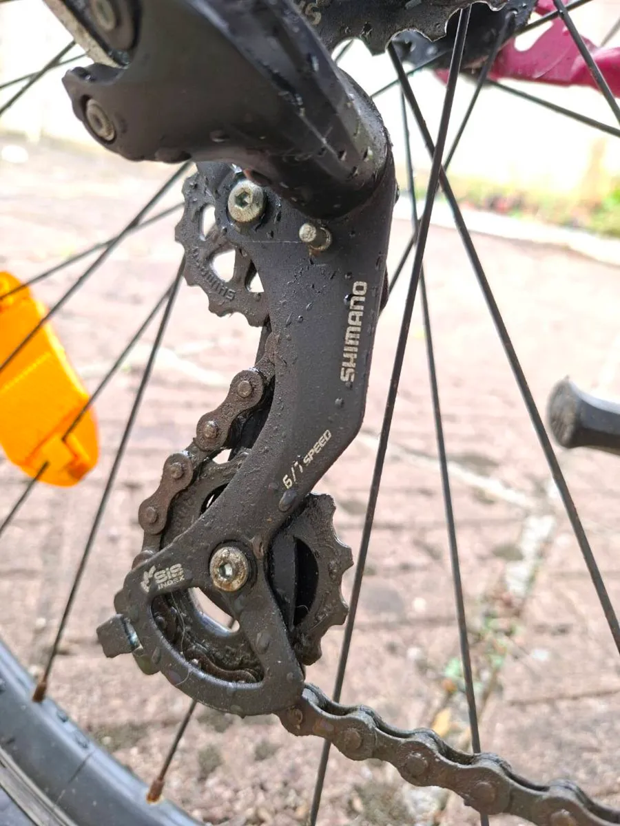 Ladies mountain Bike - Image 2