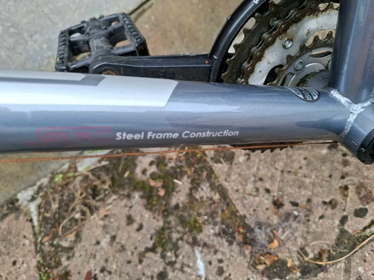 Ladies mountain Bike - Image 3