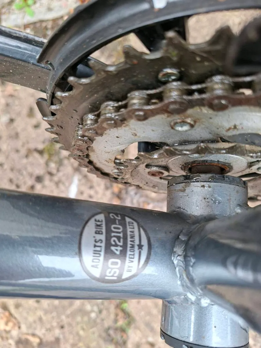 Ladies mountain Bike - Image 4