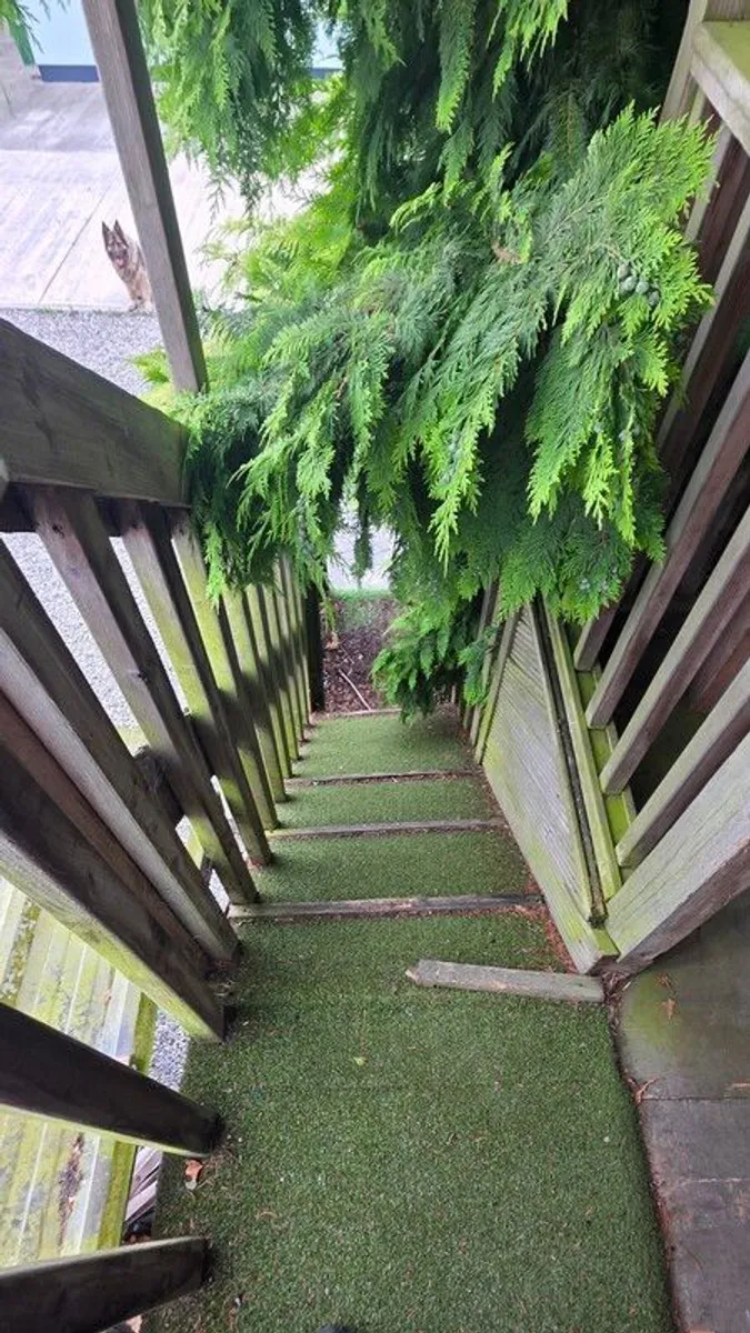 treehouse and slide - Image 4