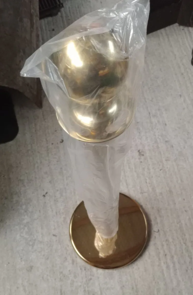 VIP Gold posts & velvet rope - Image 2