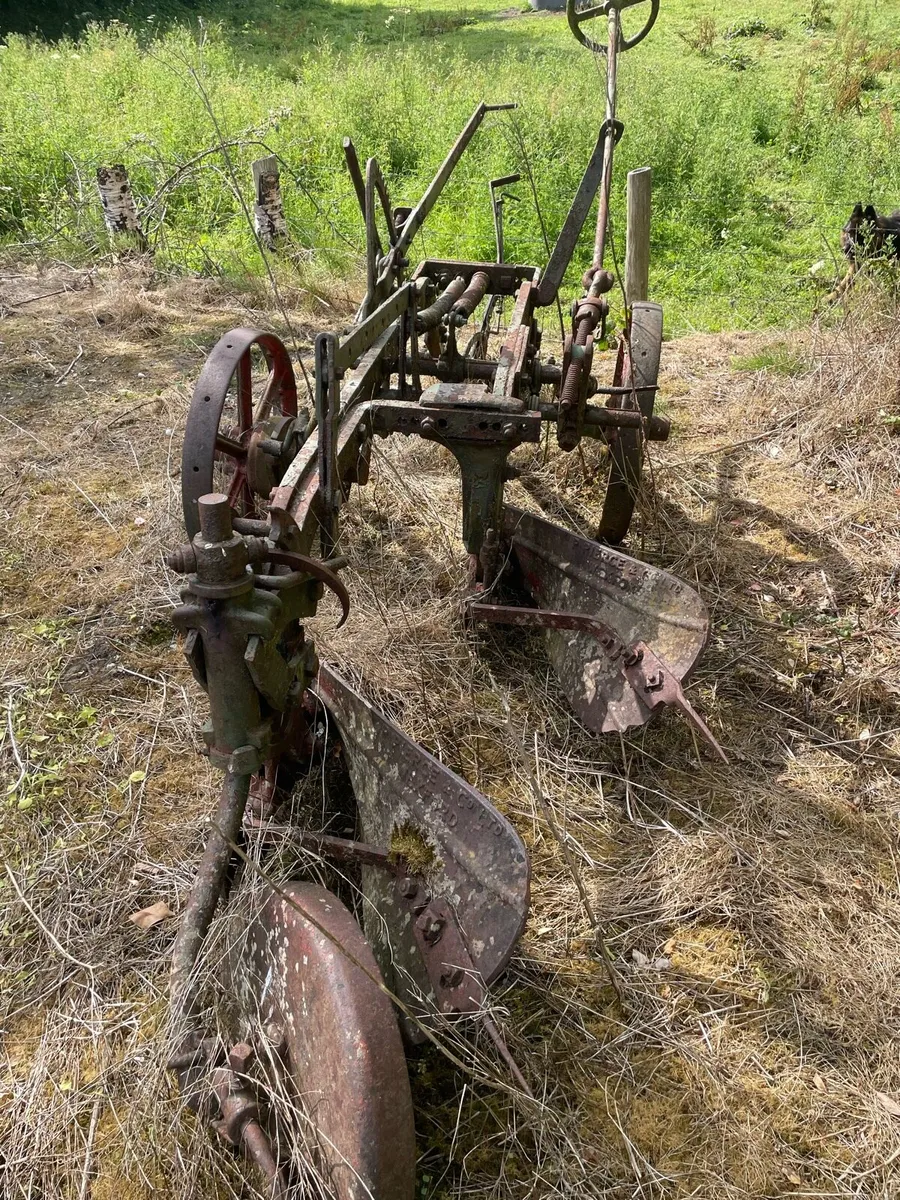 Pierce of Wexford Plough - Image 1