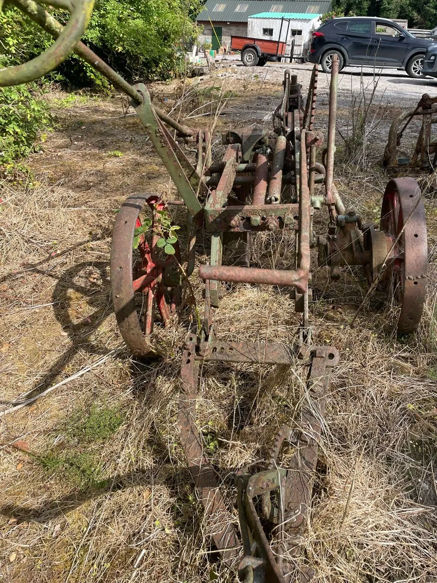 Pierce of Wexford Plough - Image 2