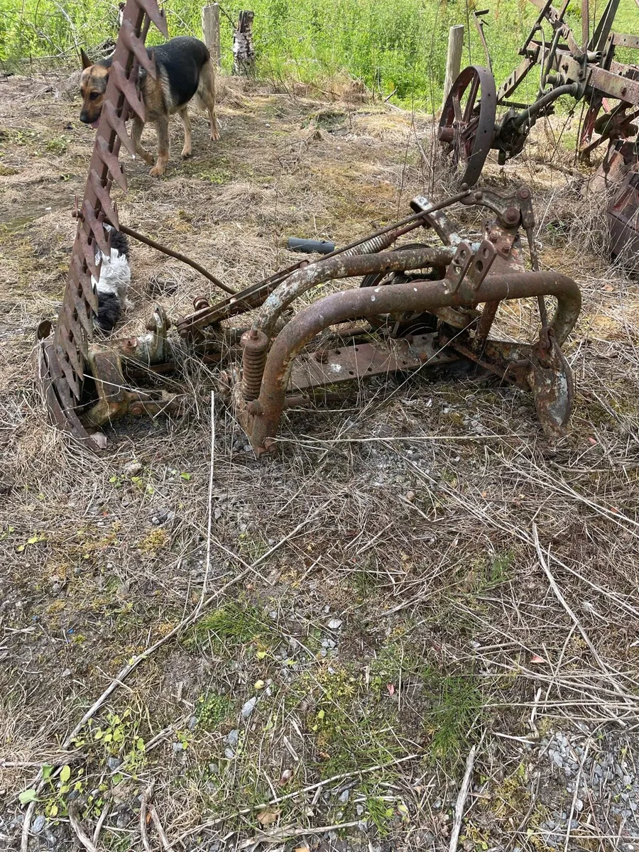 Massey Ferguson Finger Bar Mower - Image 3