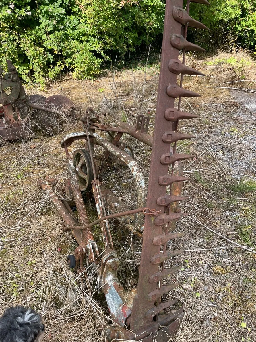 Massey Ferguson Finger Bar Mower - Image 4