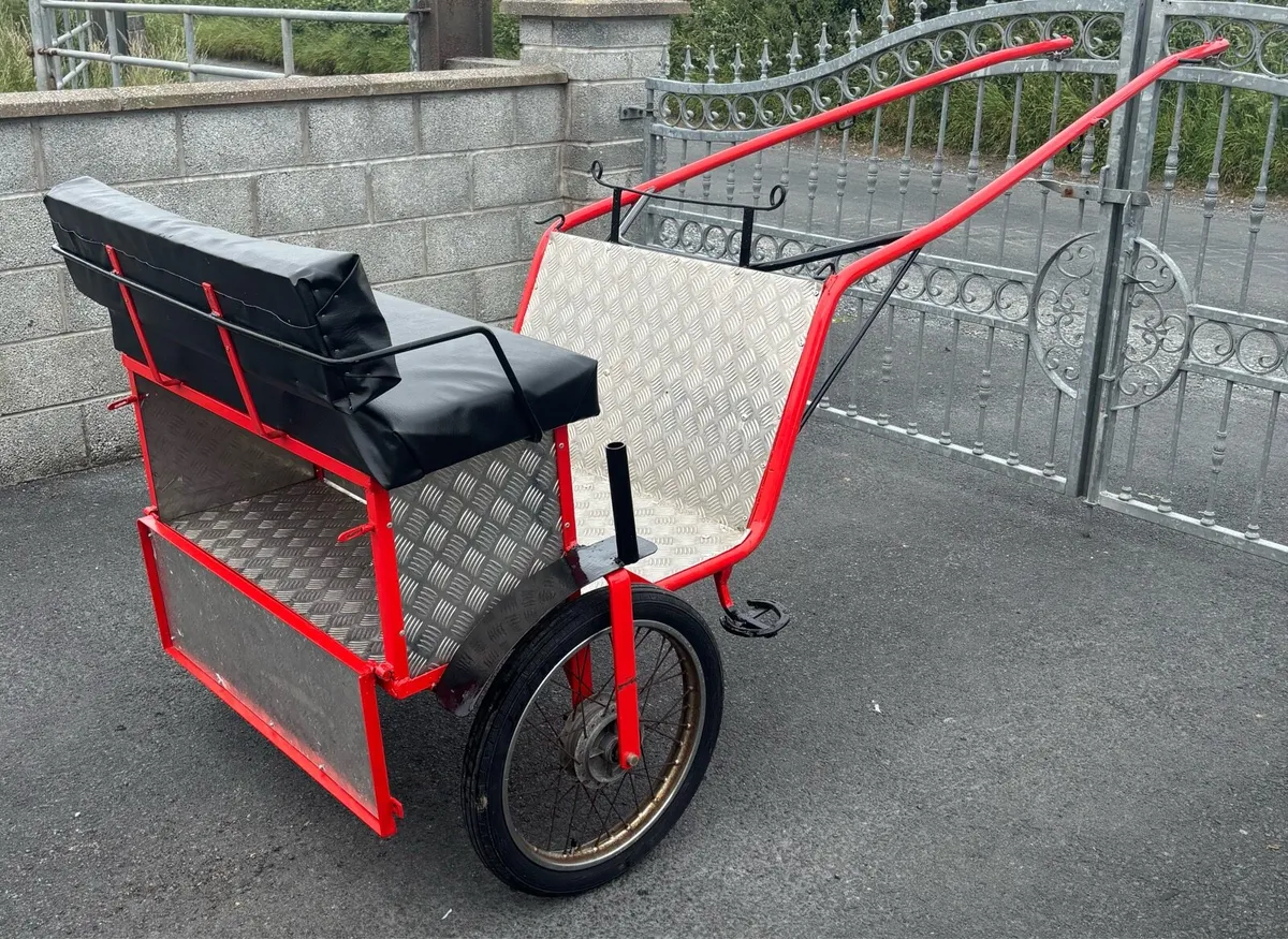 New Duhig Road cart cob size - Image 2